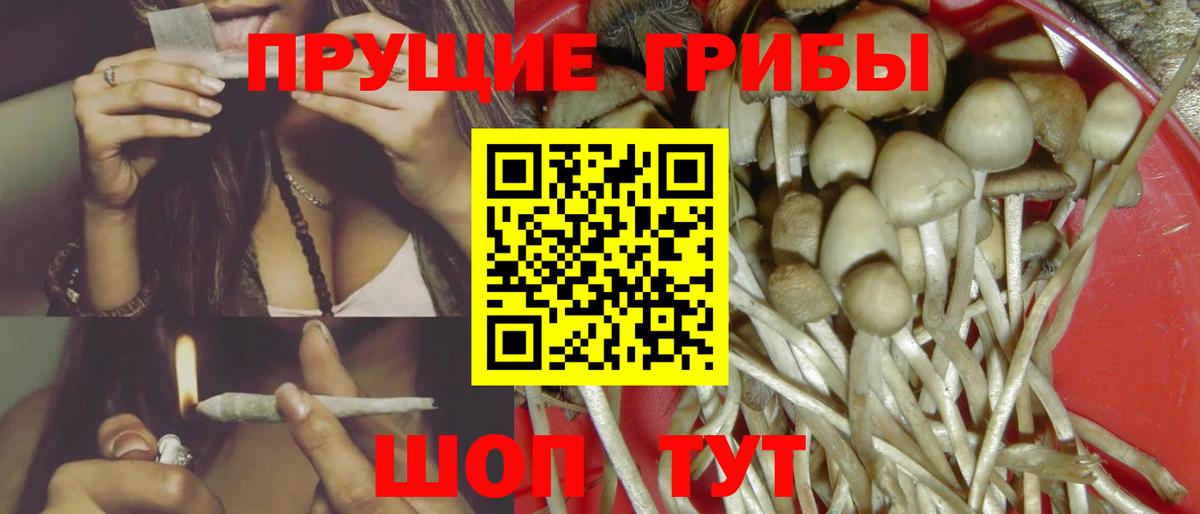купить  сайты  Псилоцибиновые грибы мухоморы  Вход с VPN  Брянск 